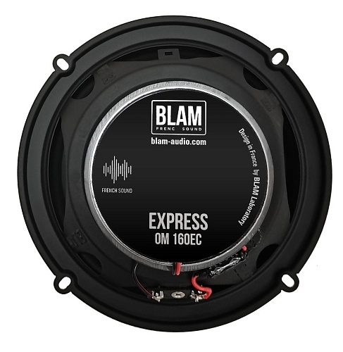 Акустическая система BLAM OM160EC