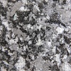 BlackTon 8